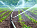 5000-agriculteurs-beneficieront-de-systemes-d-irrigation-solaire
