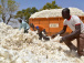 les-exportations-agricoles-ont-genere-110-milliards-fcfa-de-recettes-en-2019