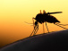le-togo-veut-tirer-un-trait-sur-le-paludisme