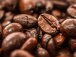 les-operateurs-economiques-de-la-filiere-cafe-cacao-invites-a-s-enregistrer-avant-le-03-septembre