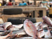 les-importateurs-de-produits-halieutiques-invites-a-regulariser-leurs-agrements-sanitaires