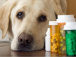 a-lome-l-uemoa-reoriente-sa-lutte-contre-les-faux-medicaments-veterinaires