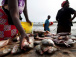 aquaculture-entre-2020-et-2022-une-production-en-constante-progression