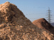 l-exportation-des-dechets-issus-de-la-biomasse-desormais-encadree