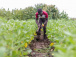 credits-infrastructures-terres-ces-grandes-realisations-agricoles-dans-la-kara
