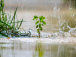 meteo-des-pluies-abondantes-et-des-risques-de-debordements-des-bassins-jusqu-en-juin