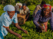 fopat-coup-d-envoie-des-activites-a-kara