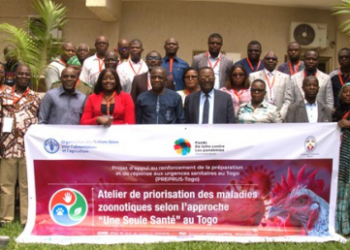 Santé : le Togo renforce la lutte contre les maladies zoonotiques