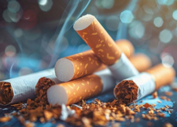 Commerce illicite du tabac : le Togo se dote d’un plan quinquennal